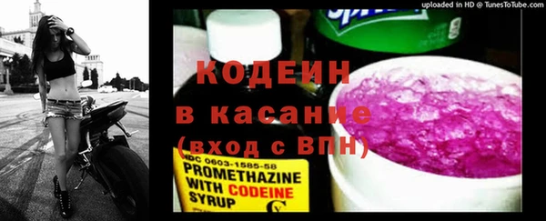 дмт Богданович