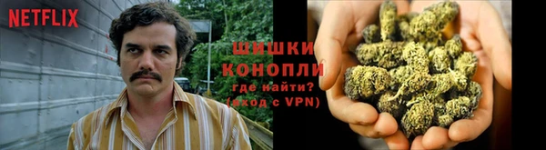 кокаин колумбия Белокуриха