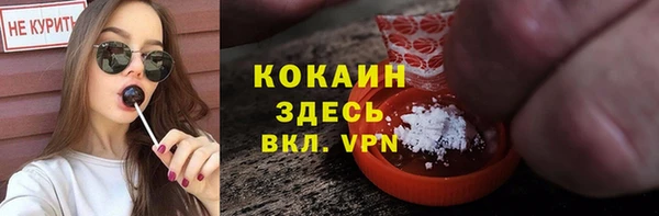 дурь Богородицк