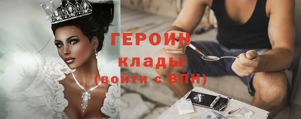 дмт Богданович