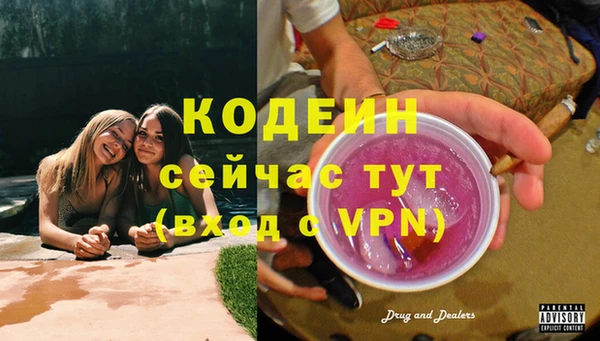 дмт Богданович