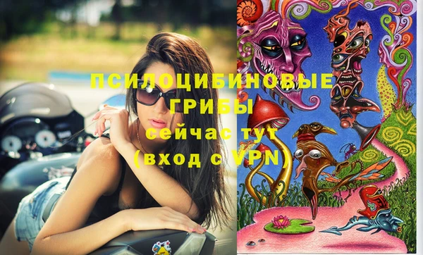 дмт Богданович
