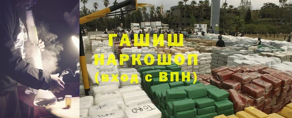 дмт Богданович