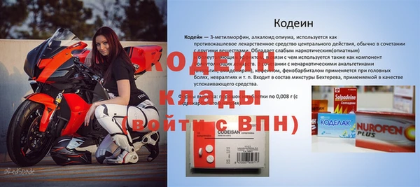 дмт Богданович