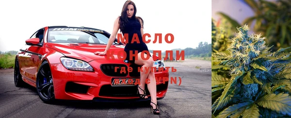 дмт Богданович