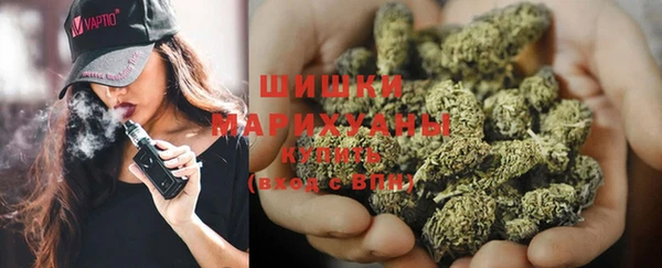 дмт Богданович