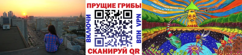 Псилоцибиновые грибы MAGIC MUSHROOMS Купить где Донской