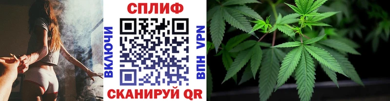 Купить  Донской  Бошки Шишки MAZAR 